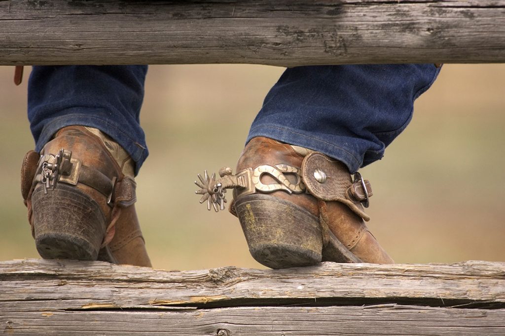 cowboy boot heel styles