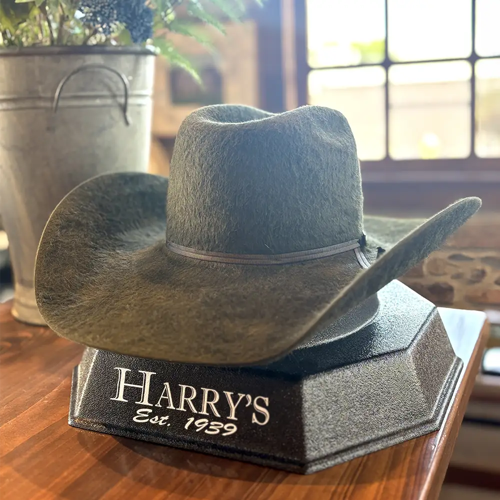 Grizzly Mountain Sage Resistol