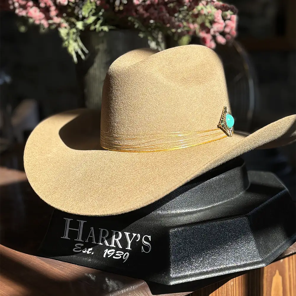 Lainey Wilson LG Keep On Strumming